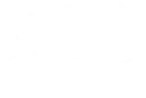 Angelo Delea