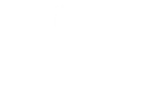 Costantino Wines