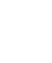 Donatella Cinelli Colombini
