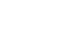 Lorgeril